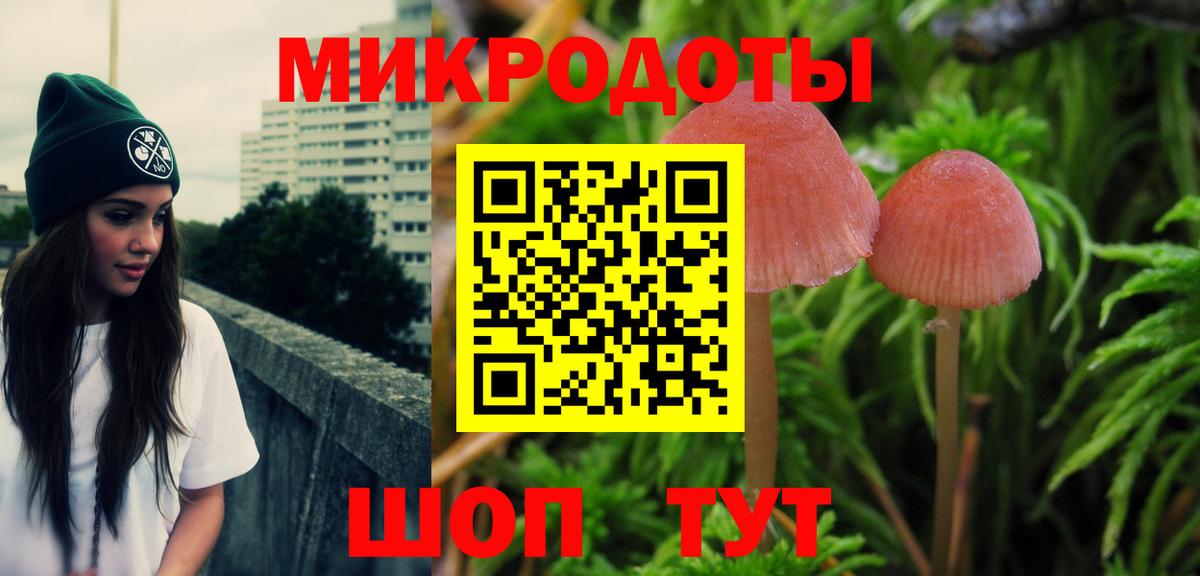 Алейск  купить наркоту  Вход с VPN  Псилоцибиновые грибы Psilocybe 